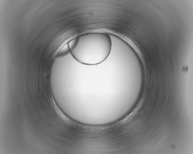 X0000091851289200709050928
