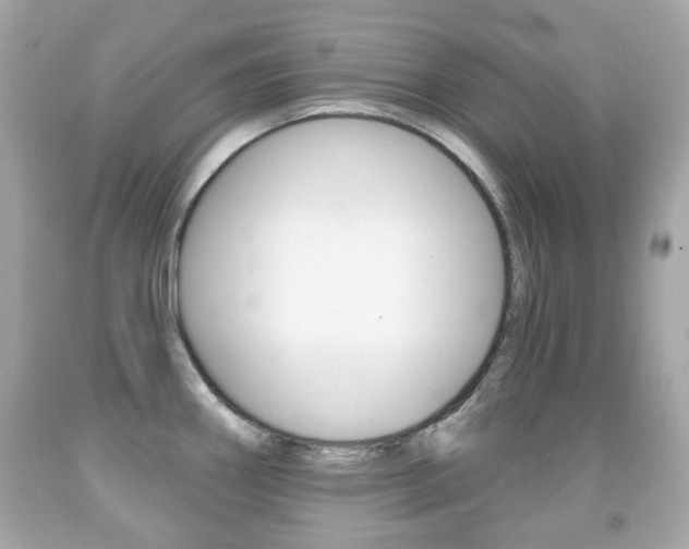 X0000091851290200709050928