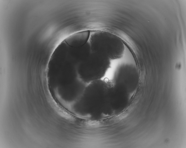 X0000091851291200709050928