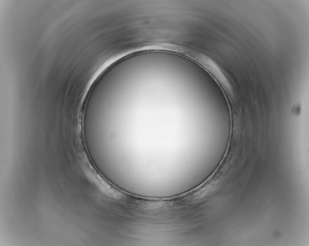 X0000091851292200709050928