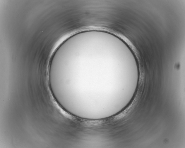X0000091851294200709050928