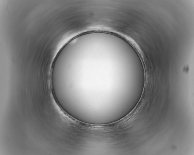 X0000091851295200709050928