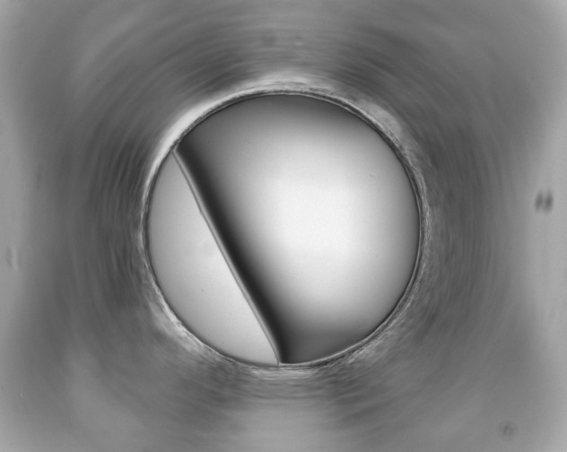 X0000091851296200709050927