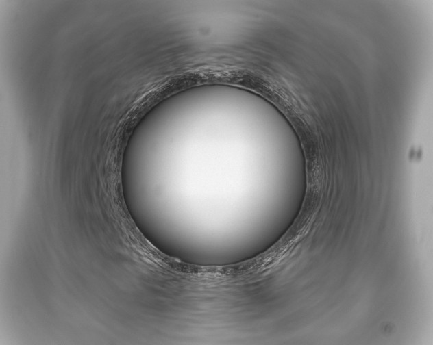 X0000091851297200709050927