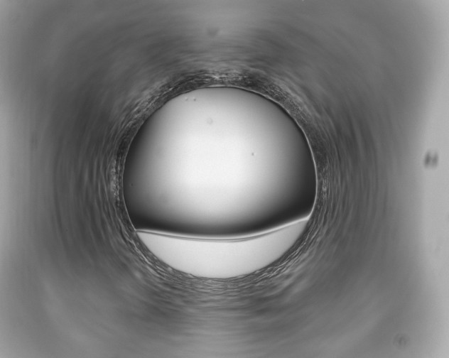 X0000091851298200709050927