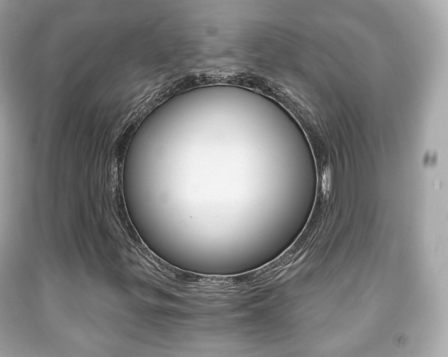 X0000091851299200709050927