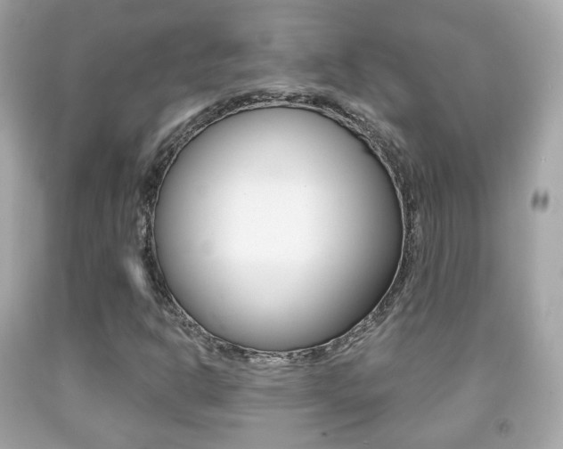 X0000091851302200709050927