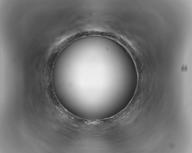 X0000091851303200709050927