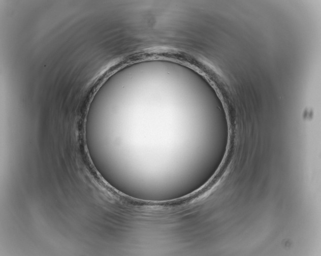X0000091851305200709050927
