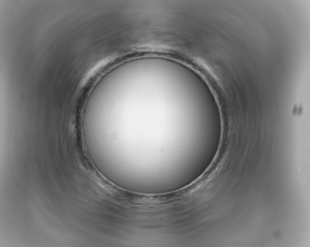 X0000091851307200709050927