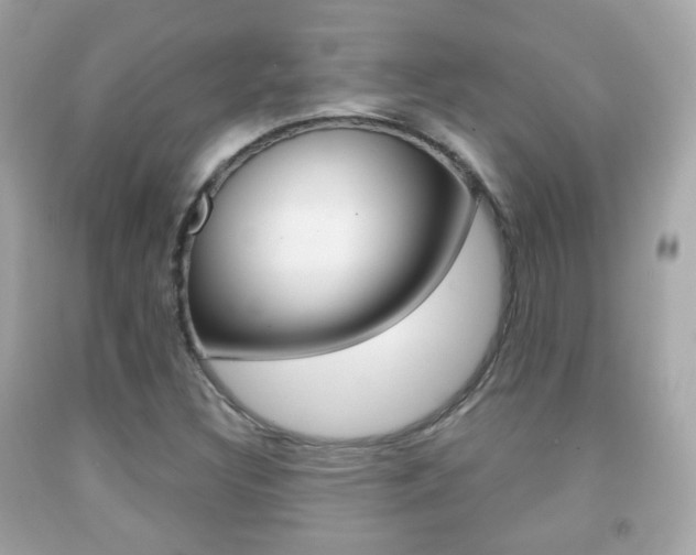 X0000091851308200709050927