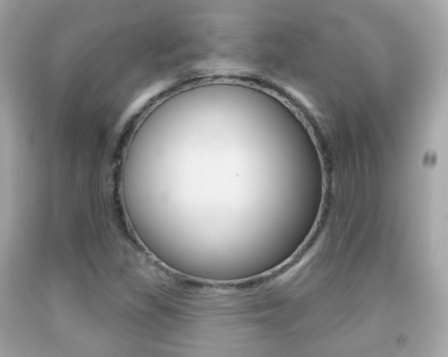 X0000091851309200709050927