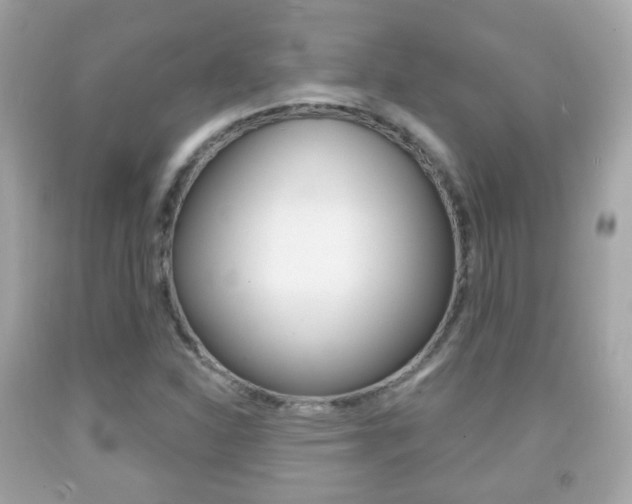 X0000091851310200709050927
