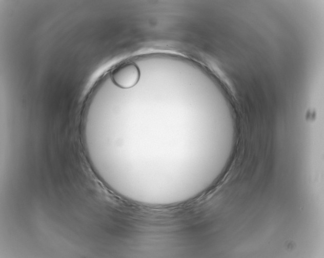X0000091851312200709050927