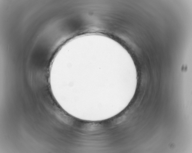 X0000091851314200709050927