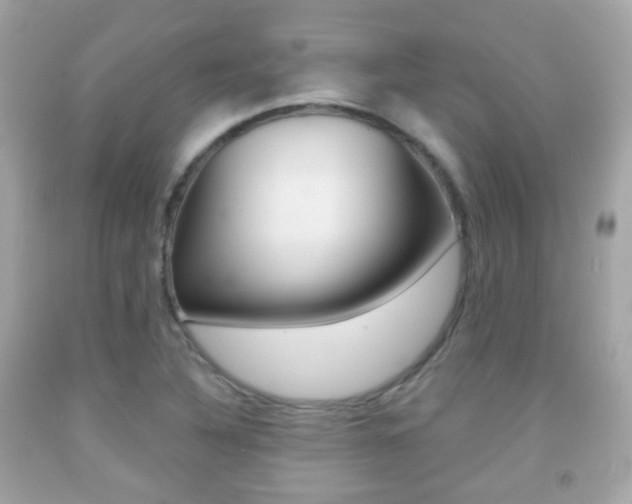 X0000091851316200709050927