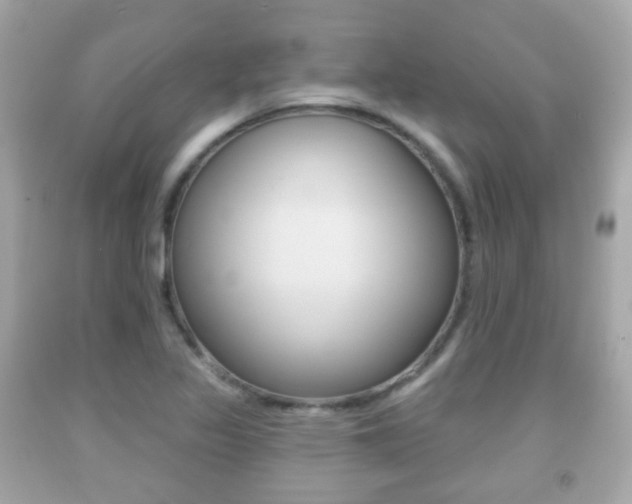 X0000091851317200709050927