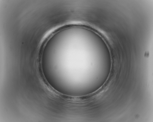 X0000091851319200709050927