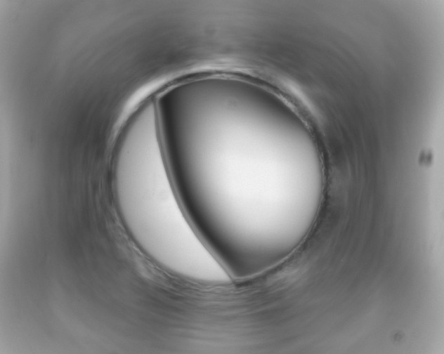 X0000091851320200709050927