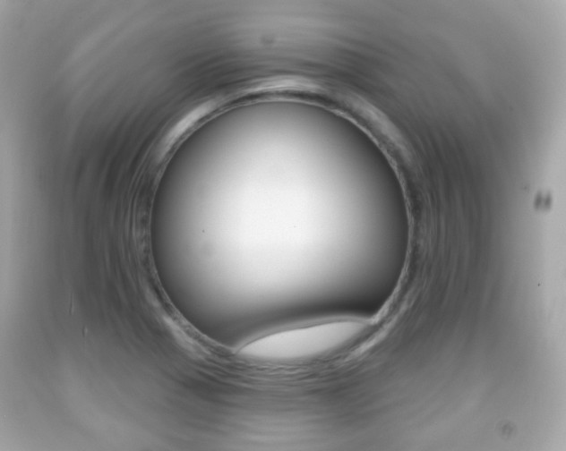X0000091851321200709050927