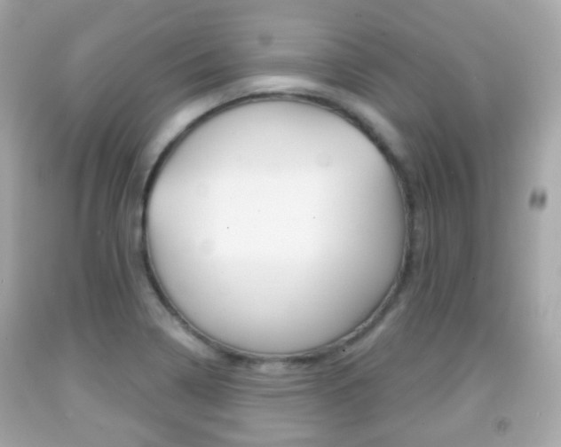 X0000091851322200709050927