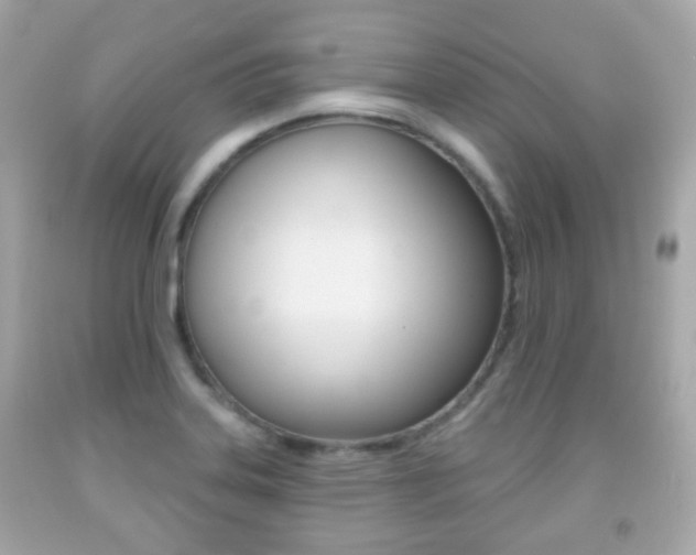 X0000091851323200709050927
