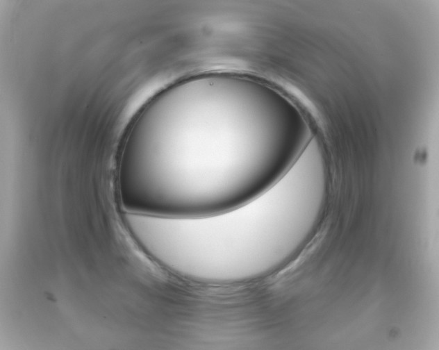 X0000091851325200709050927