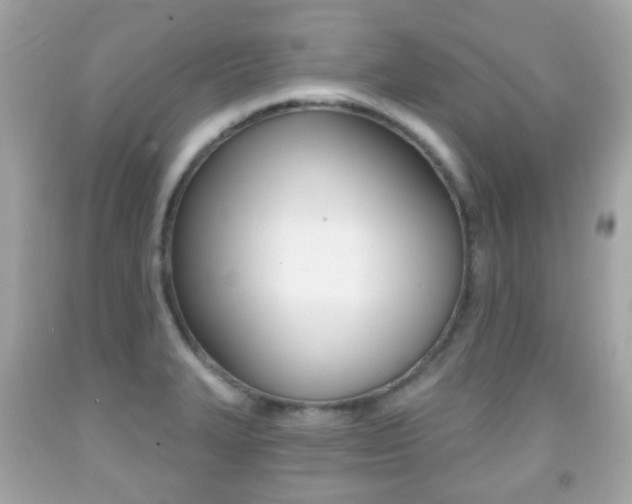 X0000091851327200709050927