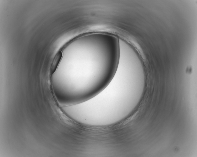 X0000091851328200709050927
