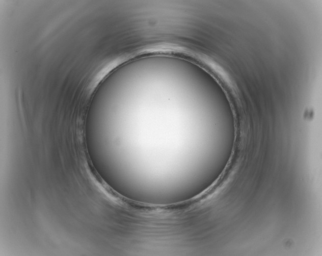 X0000091851329200709050927