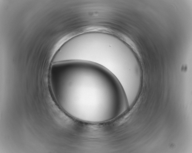 X0000091851330200709050927
