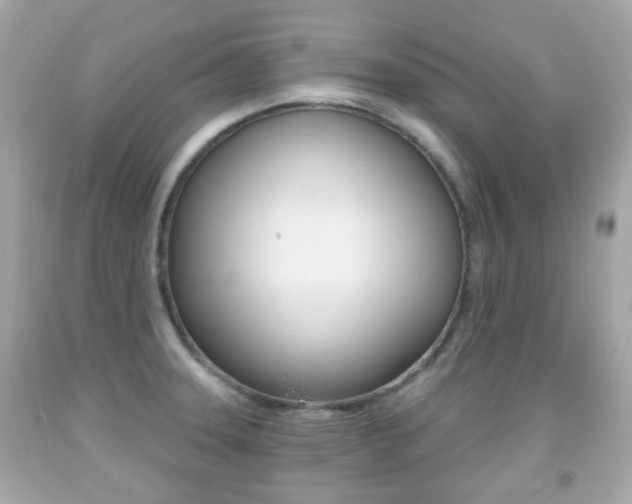 X0000091851331200709050927