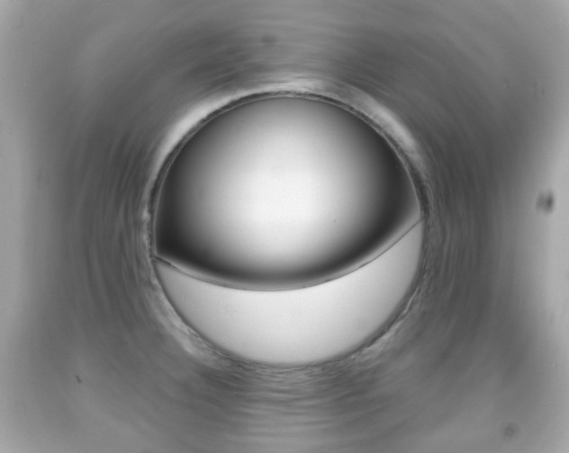 X0000091851332200709050927