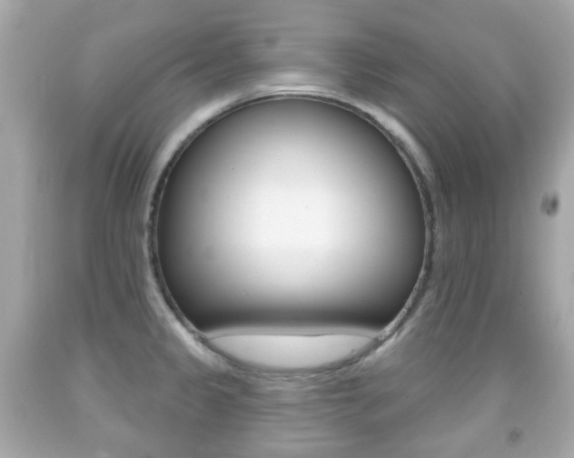 X0000091851333200709050927