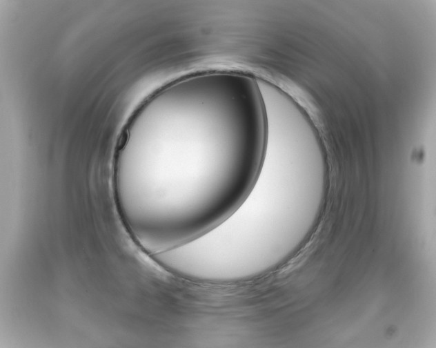 X0000091851334200709050927