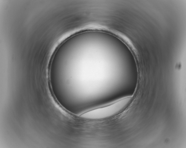 X0000091851335200709050927