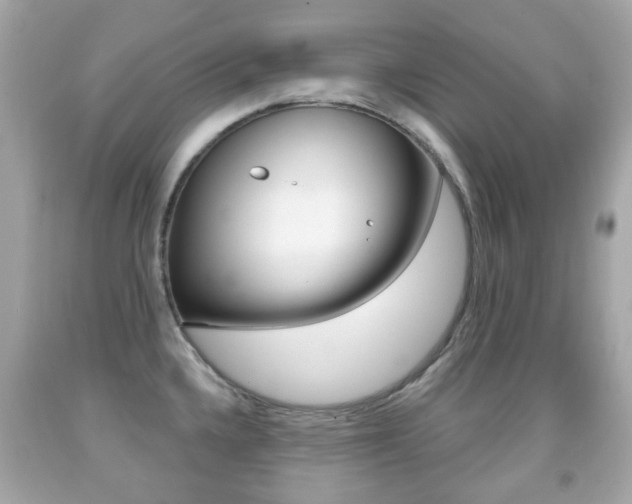 X0000091851336200709050927