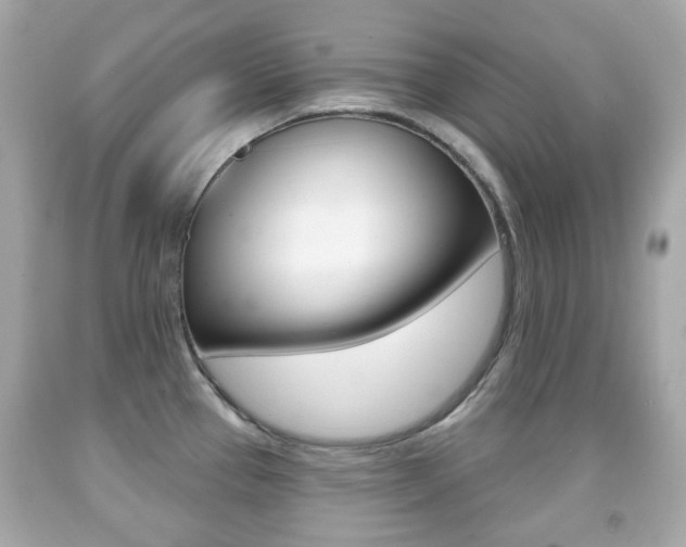 X0000091851337200709050927