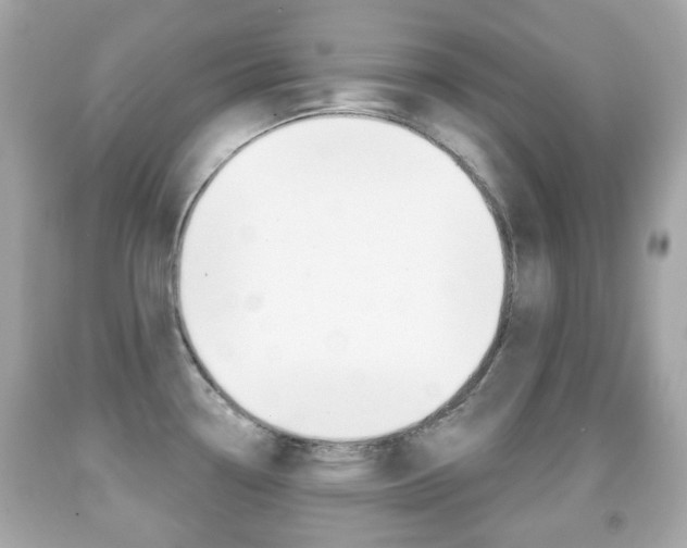 X0000091851338200709050927