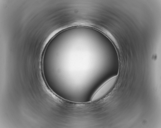 X0000091851339200709050927