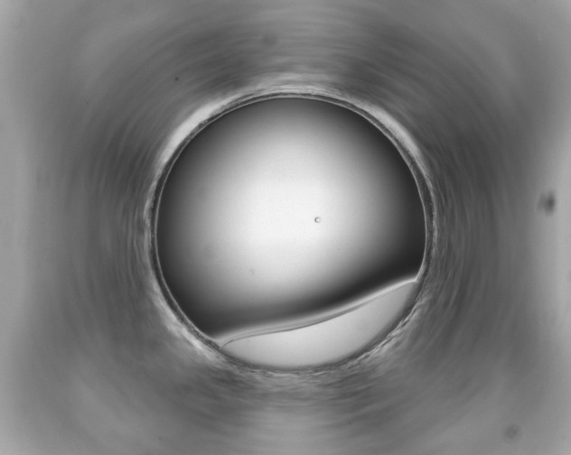 X0000091851341200709050927