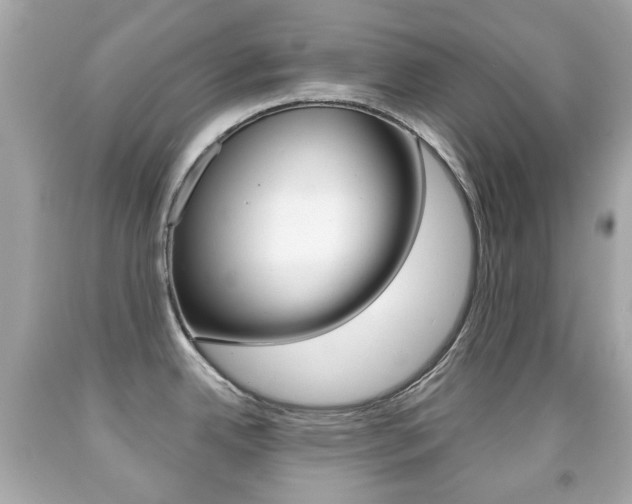X0000091851342200709050927
