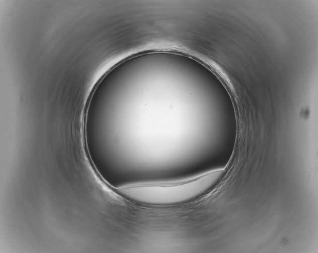 X0000091851343200709050927