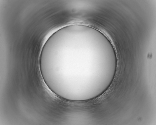 X0000091851344200709050927