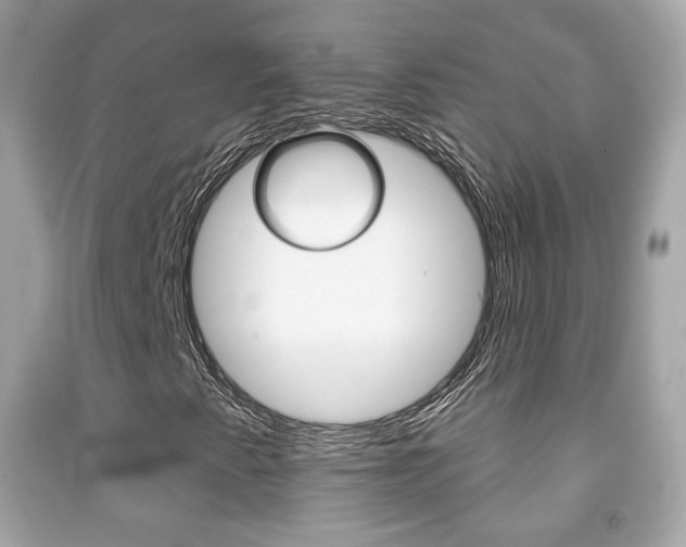 X0000091851345200709050927