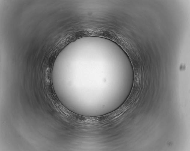 X0000091851346200709050927