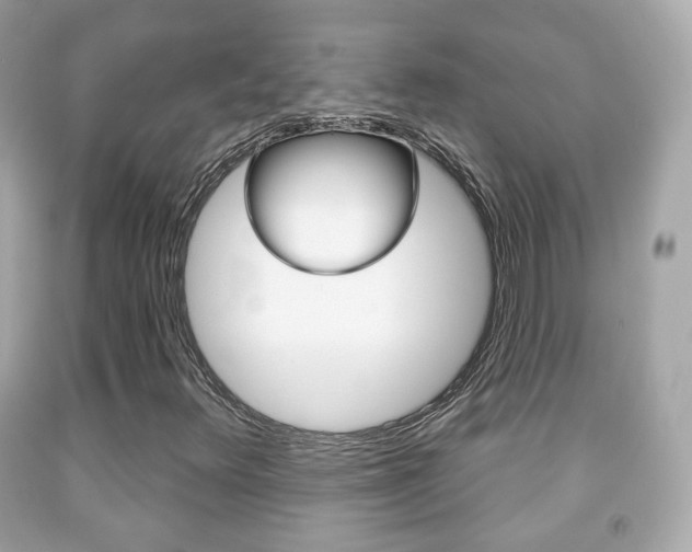 X0000091851348200709050927