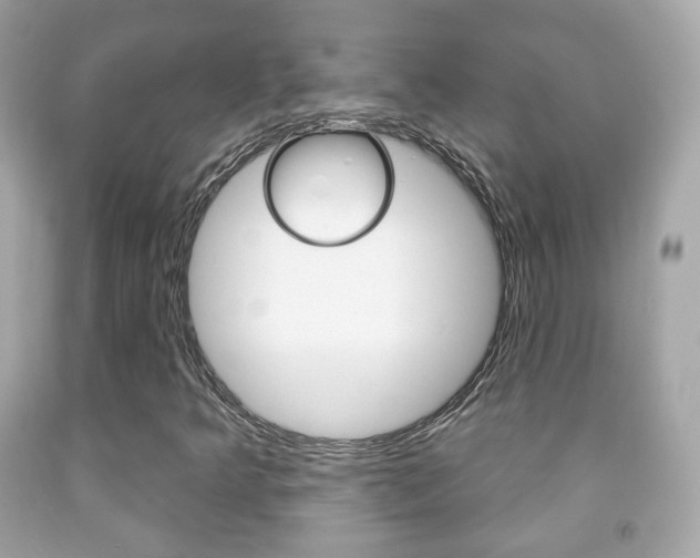 X0000091851349200709050927