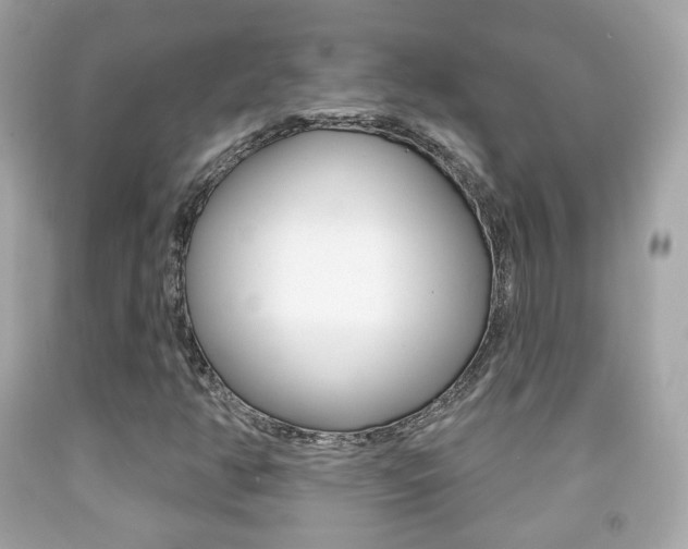 X0000091851350200709050927