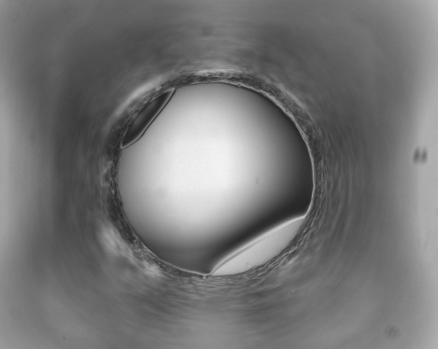 X0000091851351200709050927